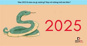 2025 Là Tam Tai Của Những Tuổi Nào