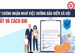 Chính Sách Bảo Hiểm Xã Hội Khi Nghỉ Việc