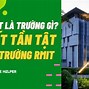 Rmit Dạy Ngành Gì